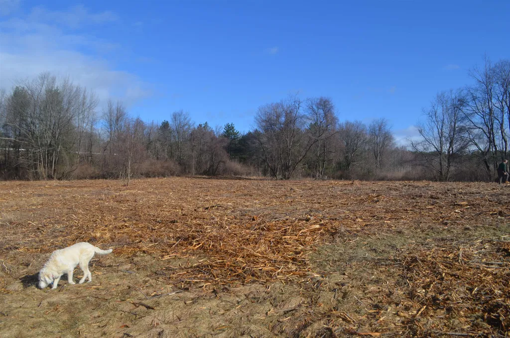 Map 2 Lot 398e1 The Oaks Henniker NH 03242