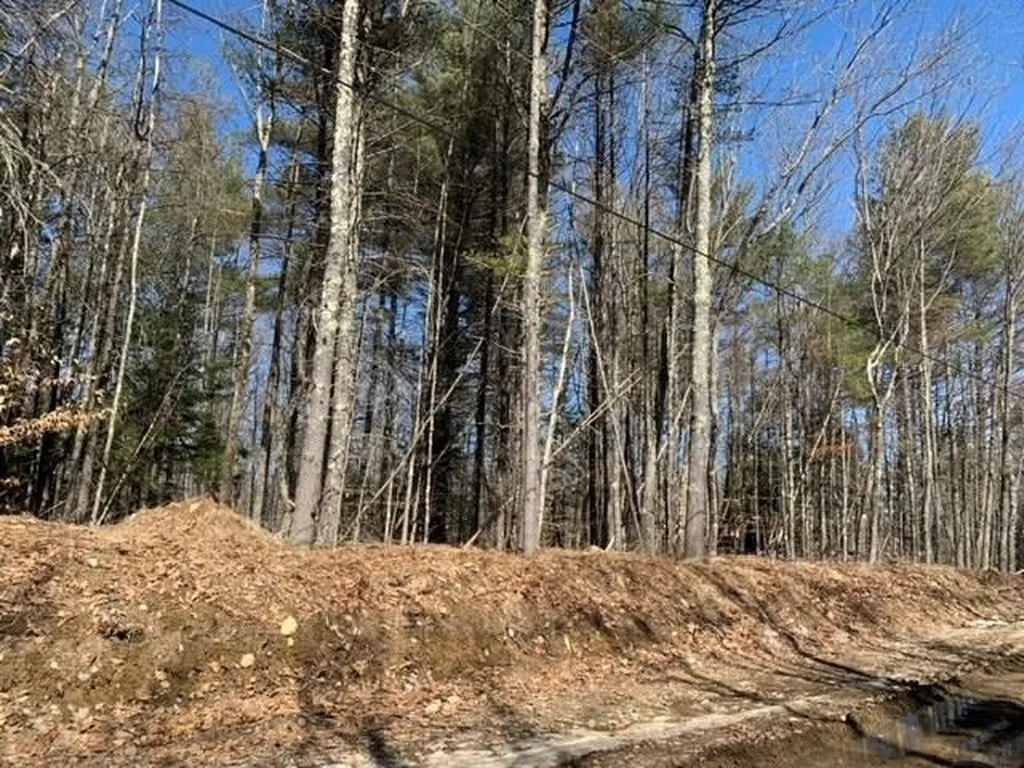 Lot 60-15 Neal Hill Road Tuftonboro NH 03816