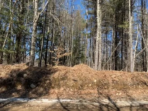 Lot 60-15 Neal Hill Road Tuftonboro NH 03816