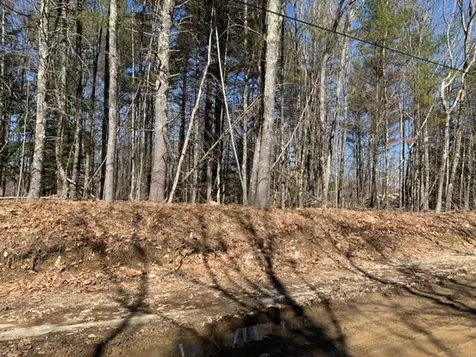 Lot 60-15 Neal Hill Road Tuftonboro NH 03816