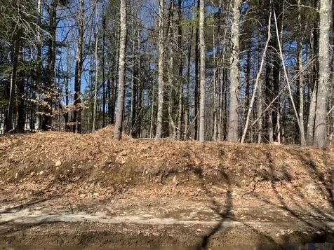 Lot 60-15 Neal Hill Road Tuftonboro NH 03816