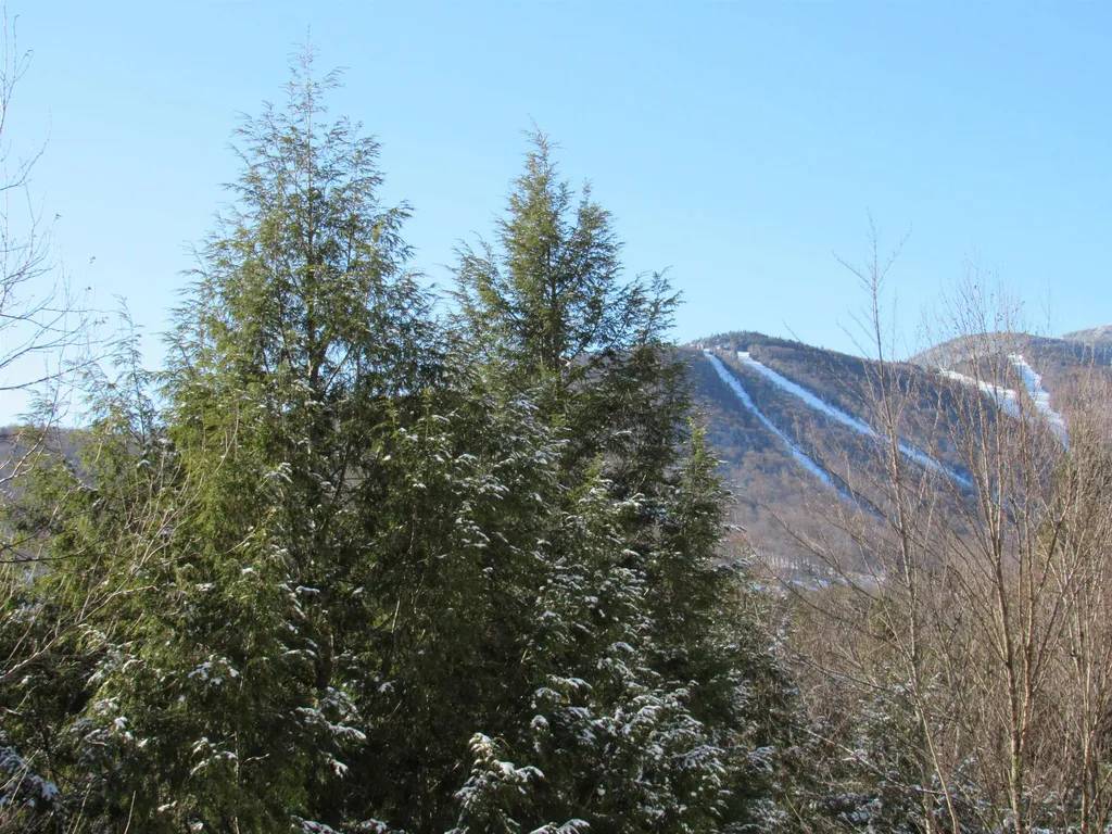 202 Bridges Circle Warren VT 05674