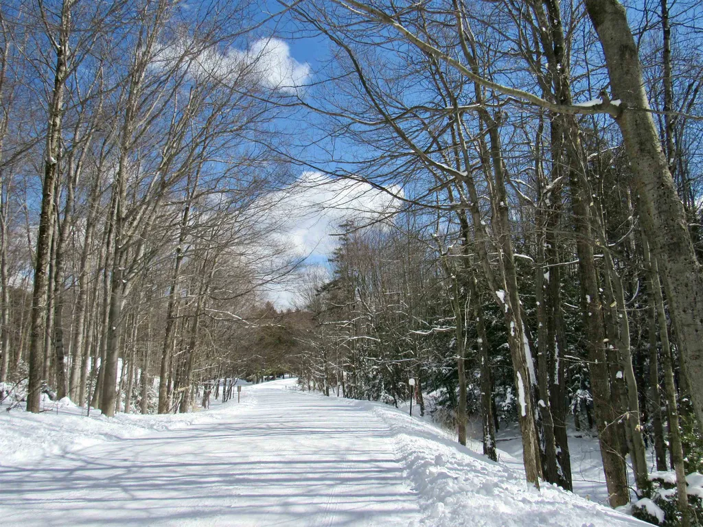 202 Bridges Circle Warren VT 05674