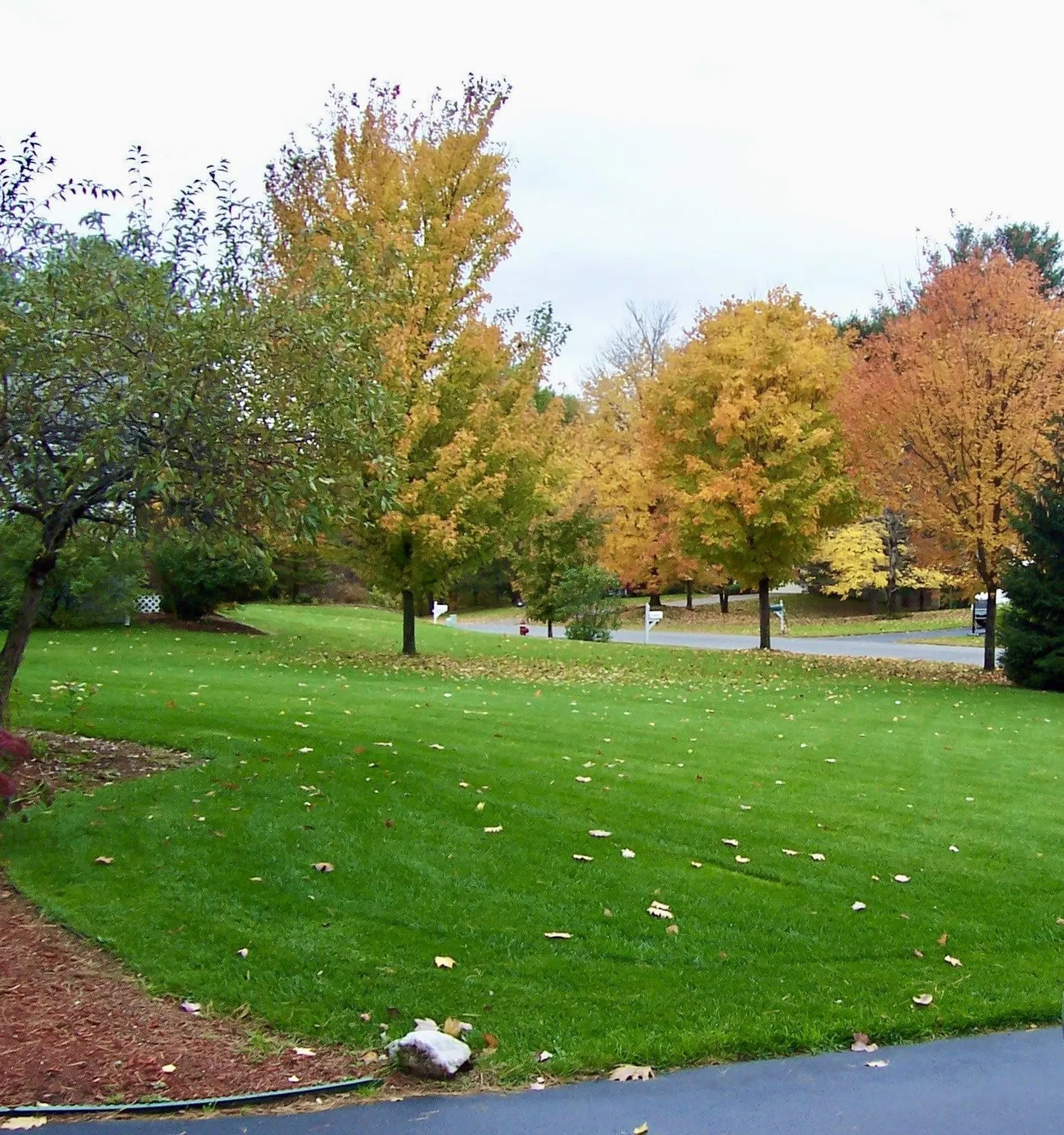 83 Kirby Lane Williston VT 05495
