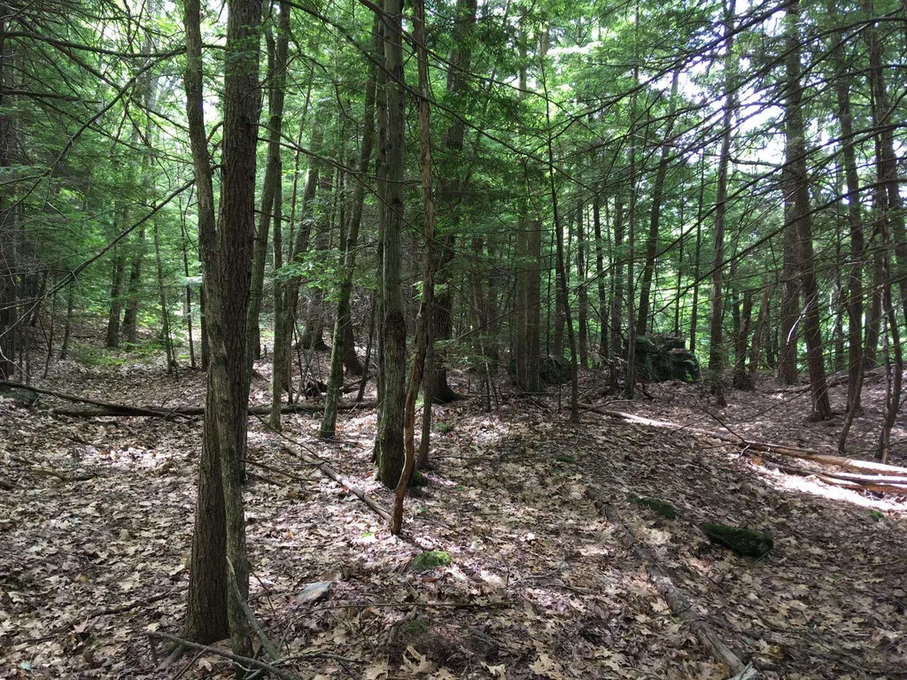 Hinkson Brook Road Canaan NH 03741