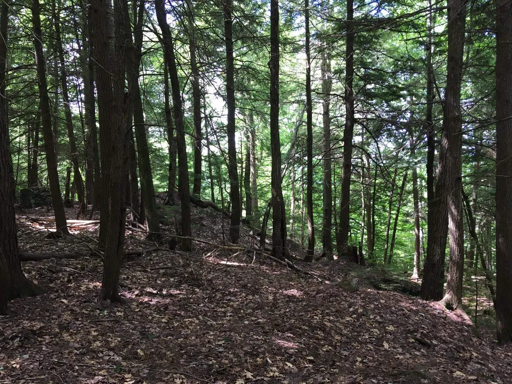 Hinkson Brook Road Canaan NH 03741