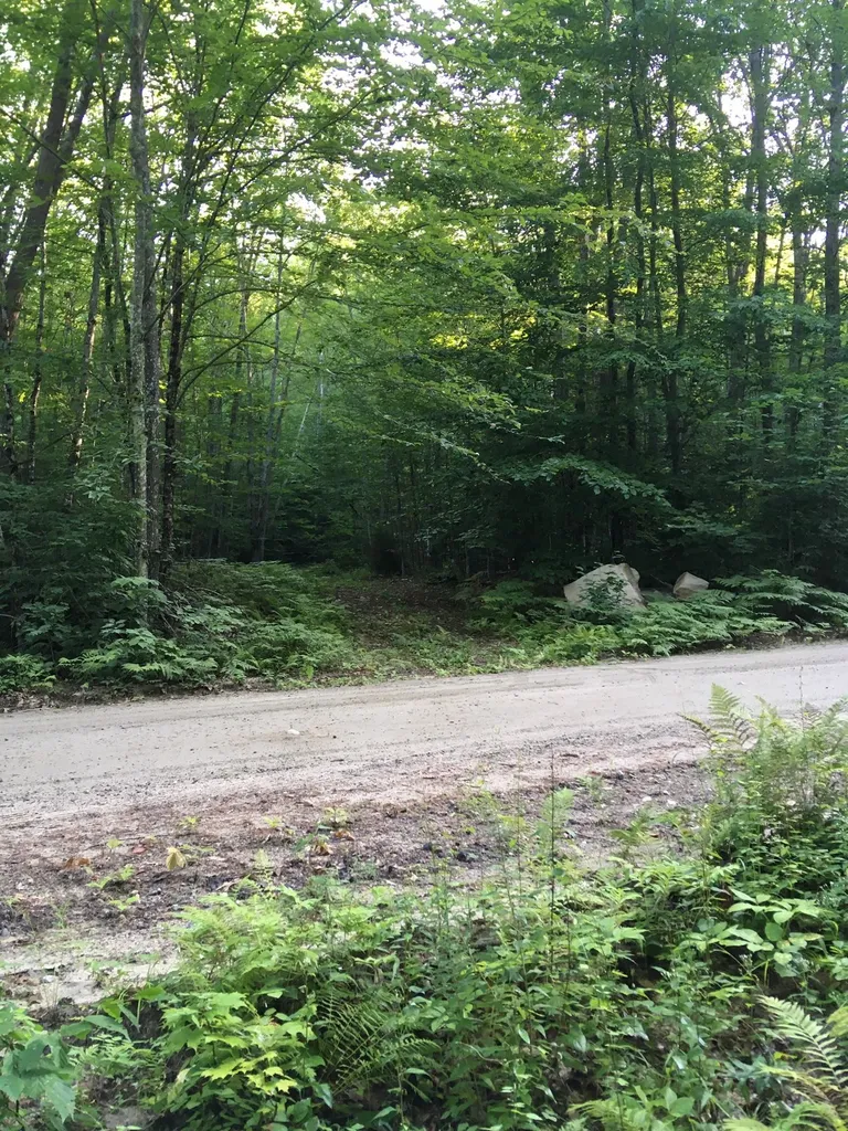 Hinkson Brook Road Canaan NH 03741