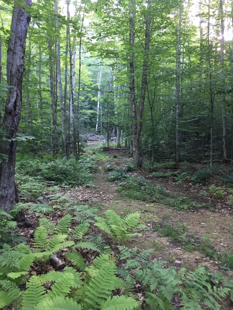 Hinkson Brook Road Canaan NH 03741