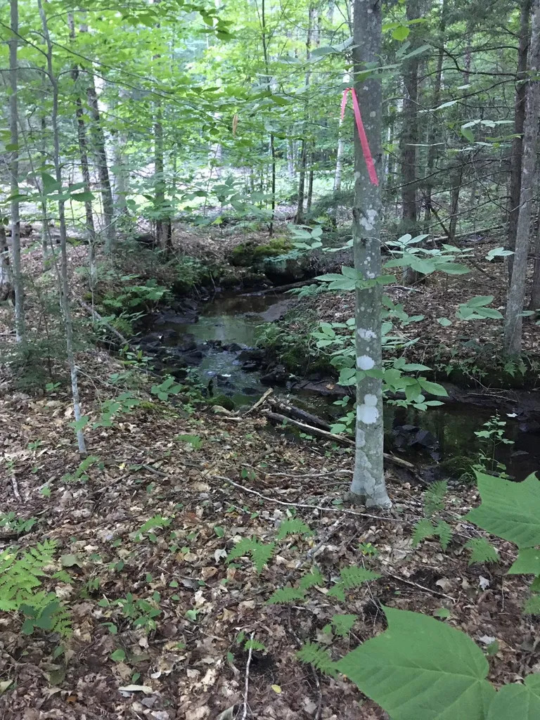 Hinkson Brook Road Canaan NH 03741