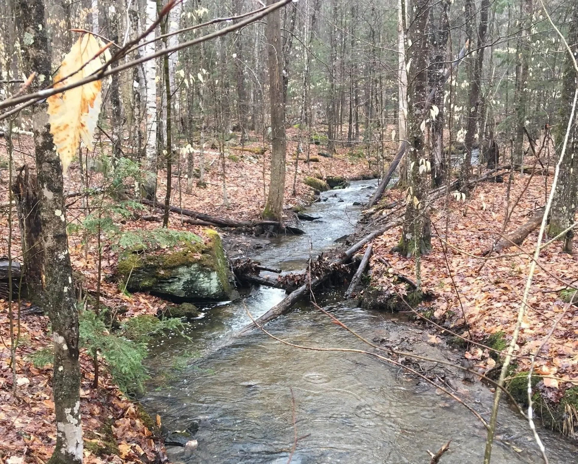 Hinkson Brook Road Canaan NH 03741