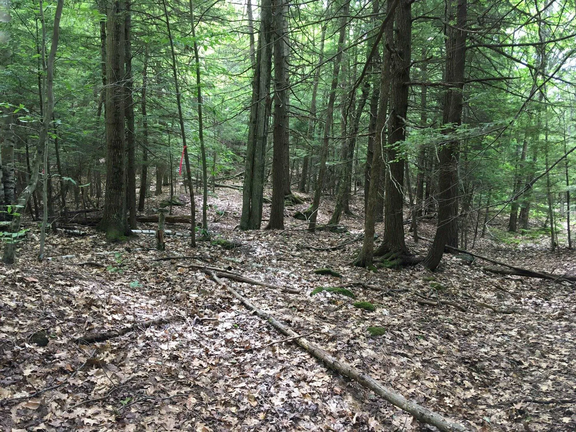 Hinkson Brook Road Canaan NH 03741