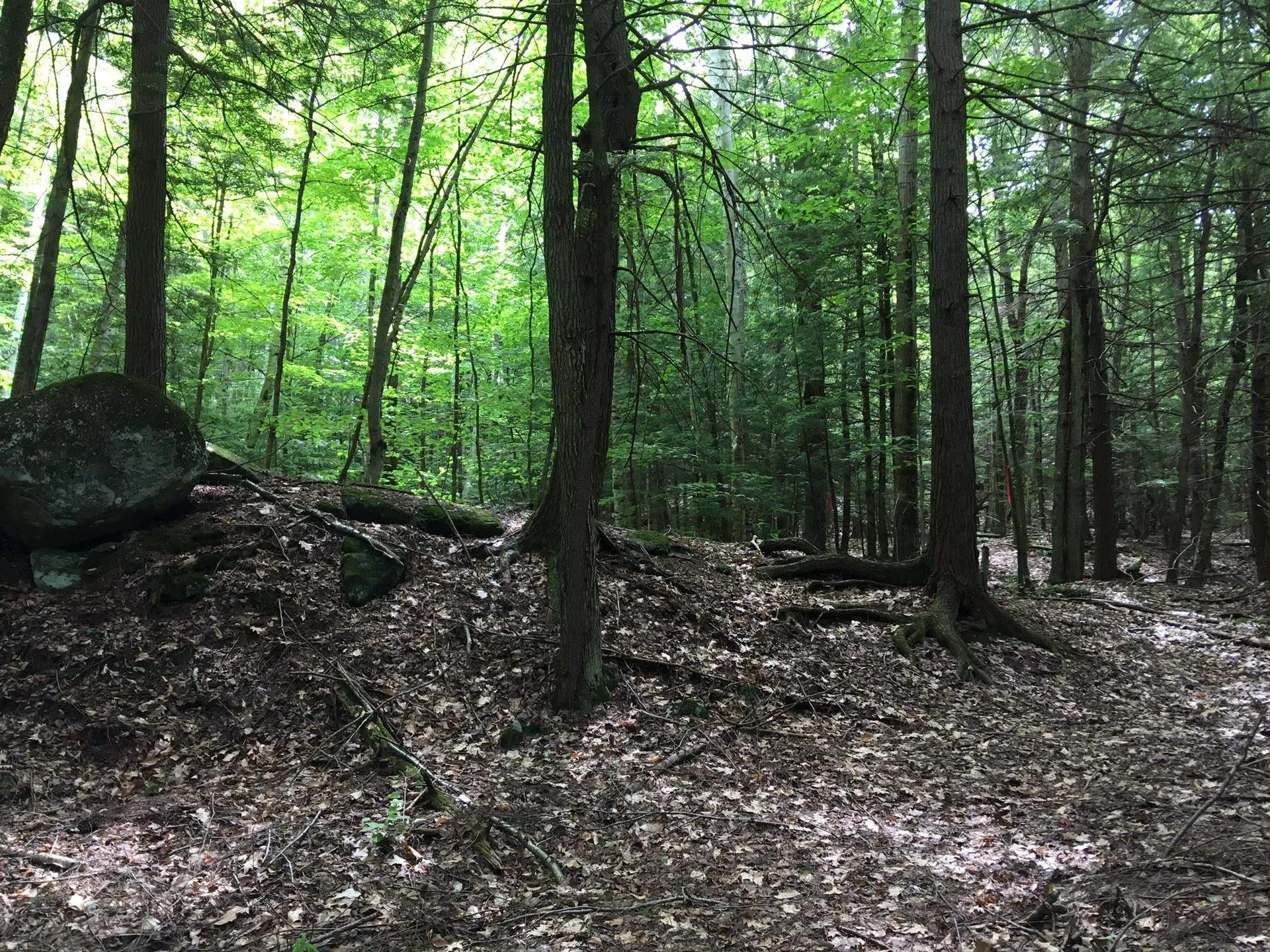 Hinkson Brook Road Canaan NH 03741