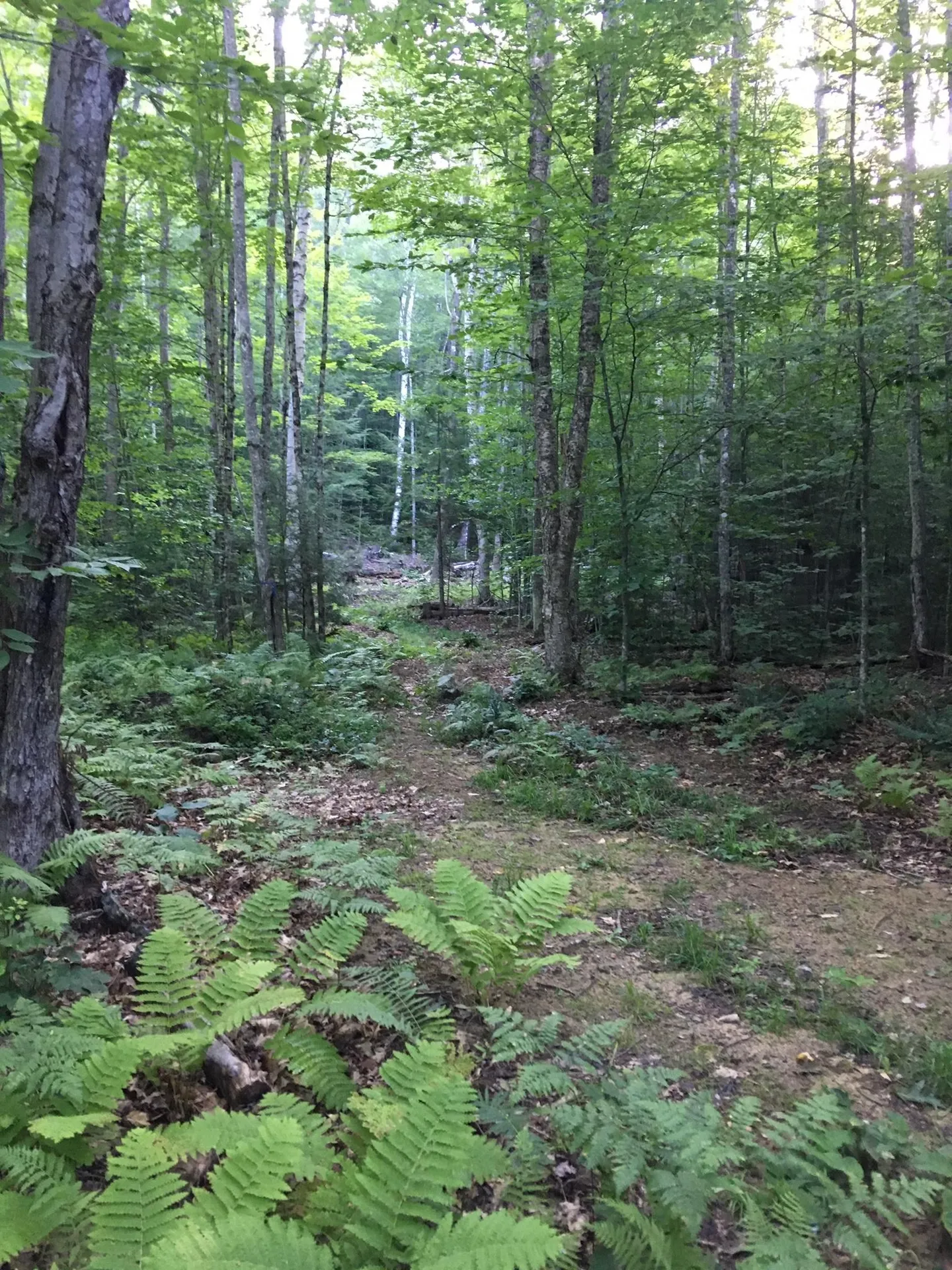 Hinkson Brook Road Canaan NH 03741
