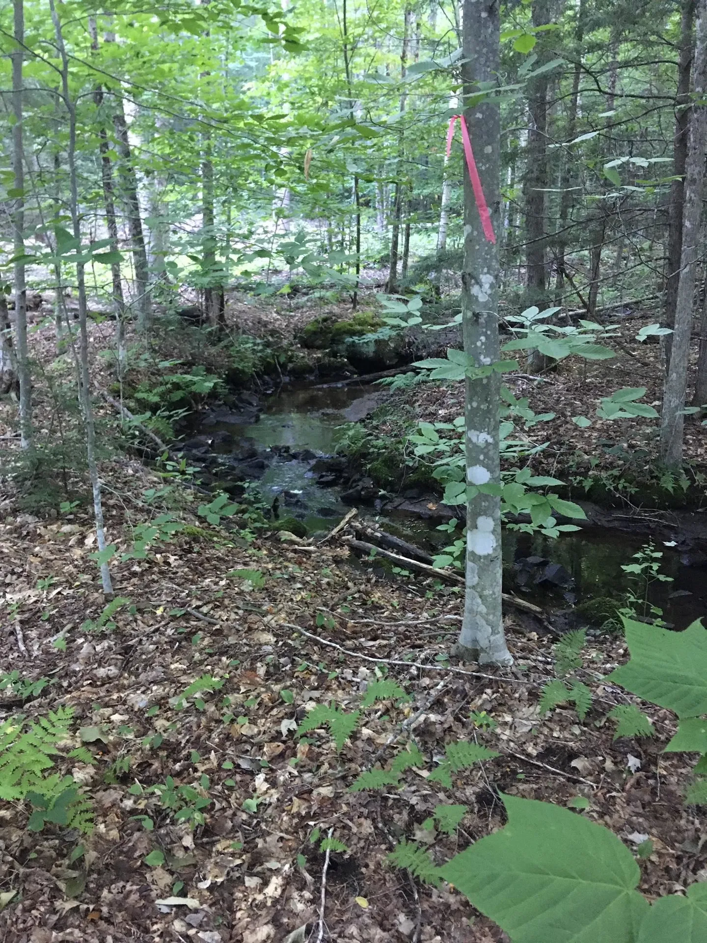 Hinkson Brook Road Canaan NH 03741