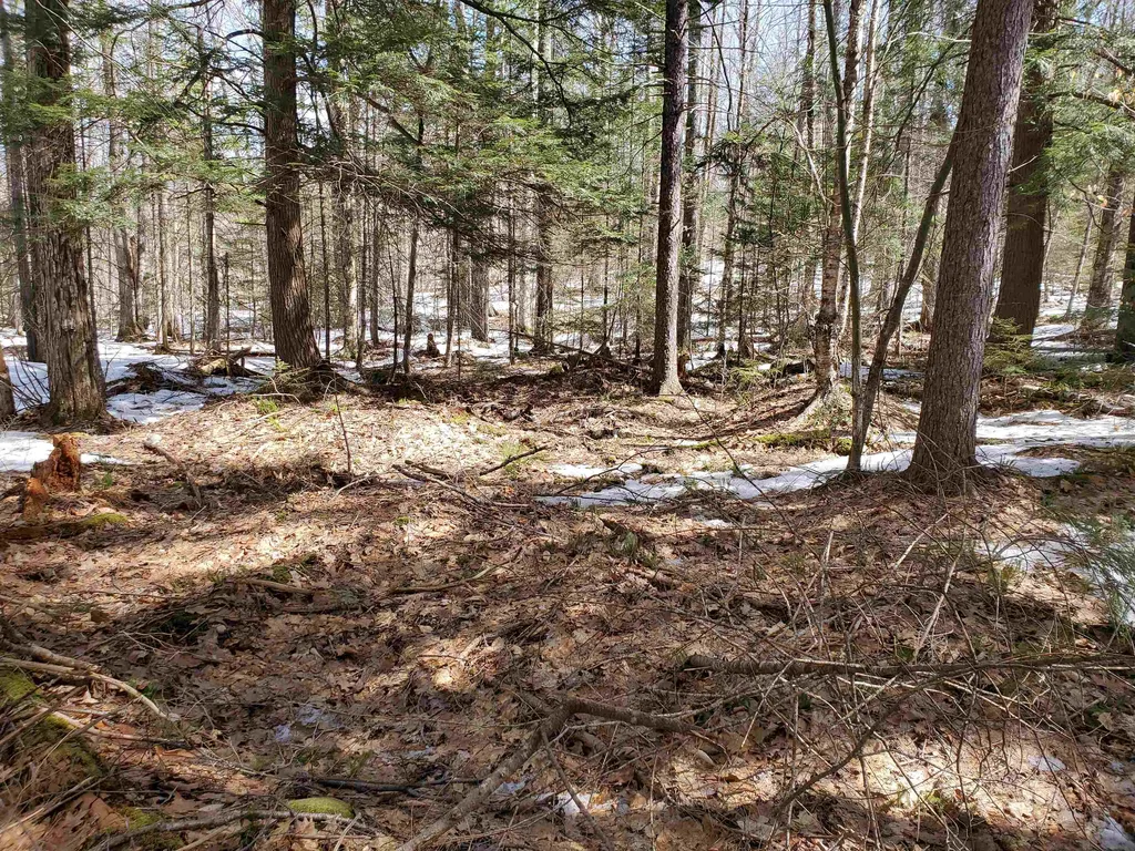 00 Prospect Hill Road Canaan NH 03741