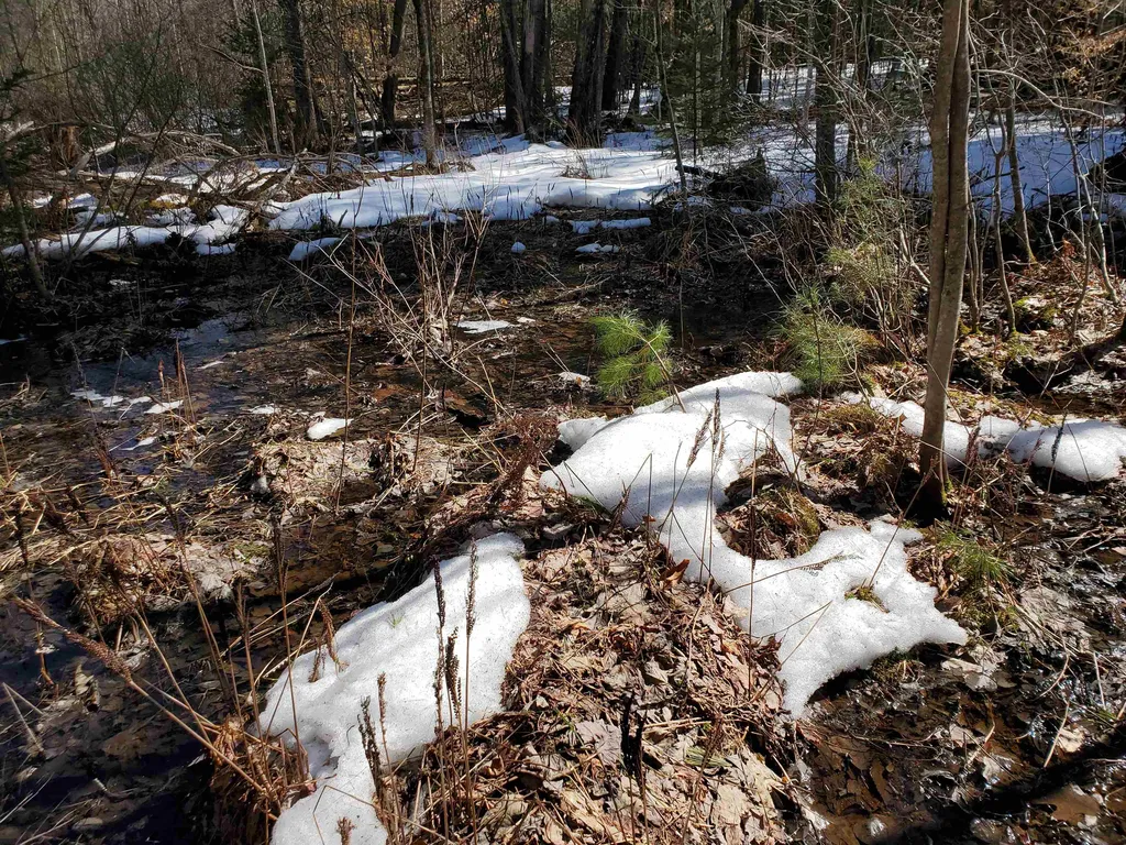 00 Prospect Hill Road Canaan NH 03741