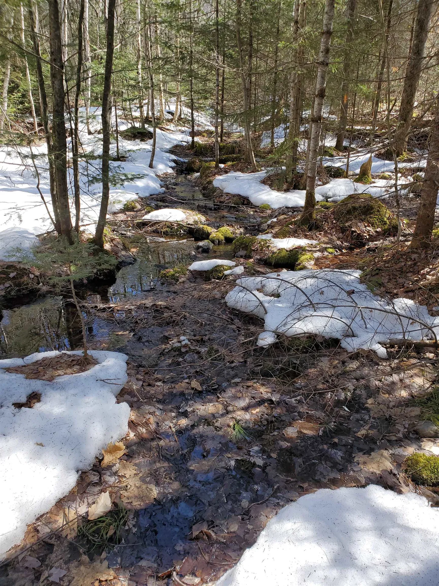 00 Prospect Hill Road Canaan NH 03741