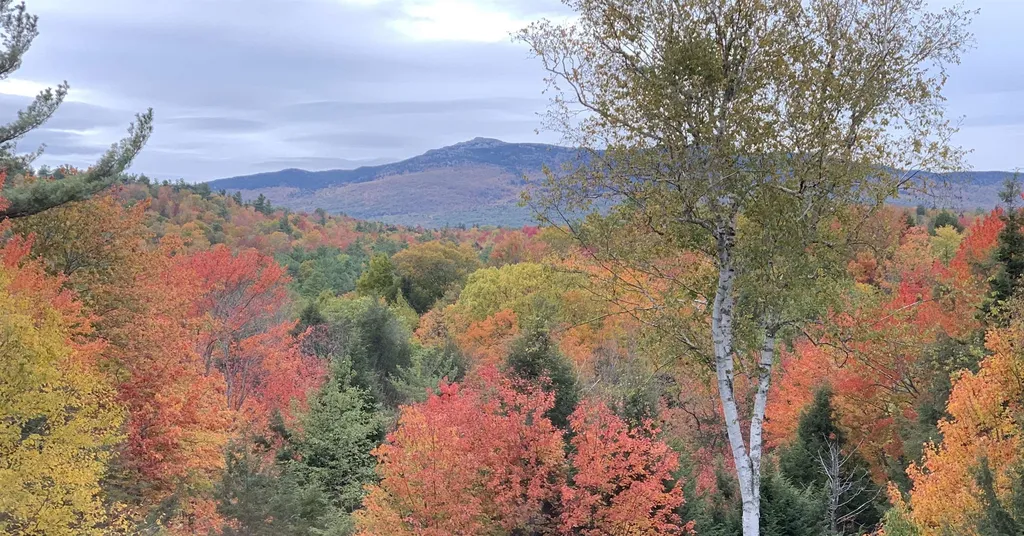 165 Crestview Drive Jaffrey NH 03452