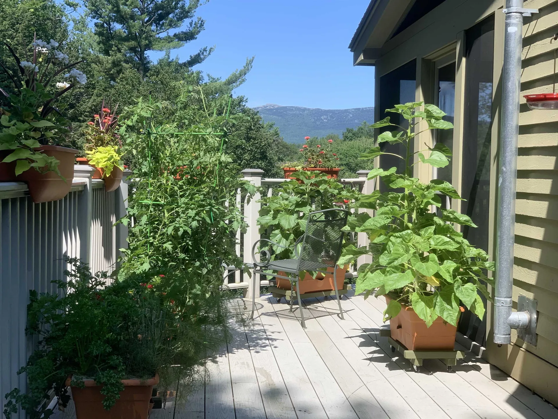 165 Crestview Drive Jaffrey NH 03452