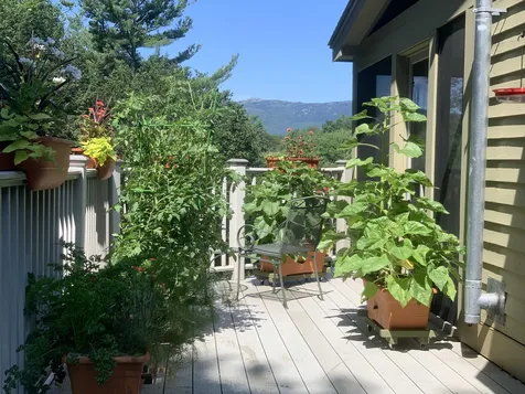 165 Crestview Drive Jaffrey NH 03452