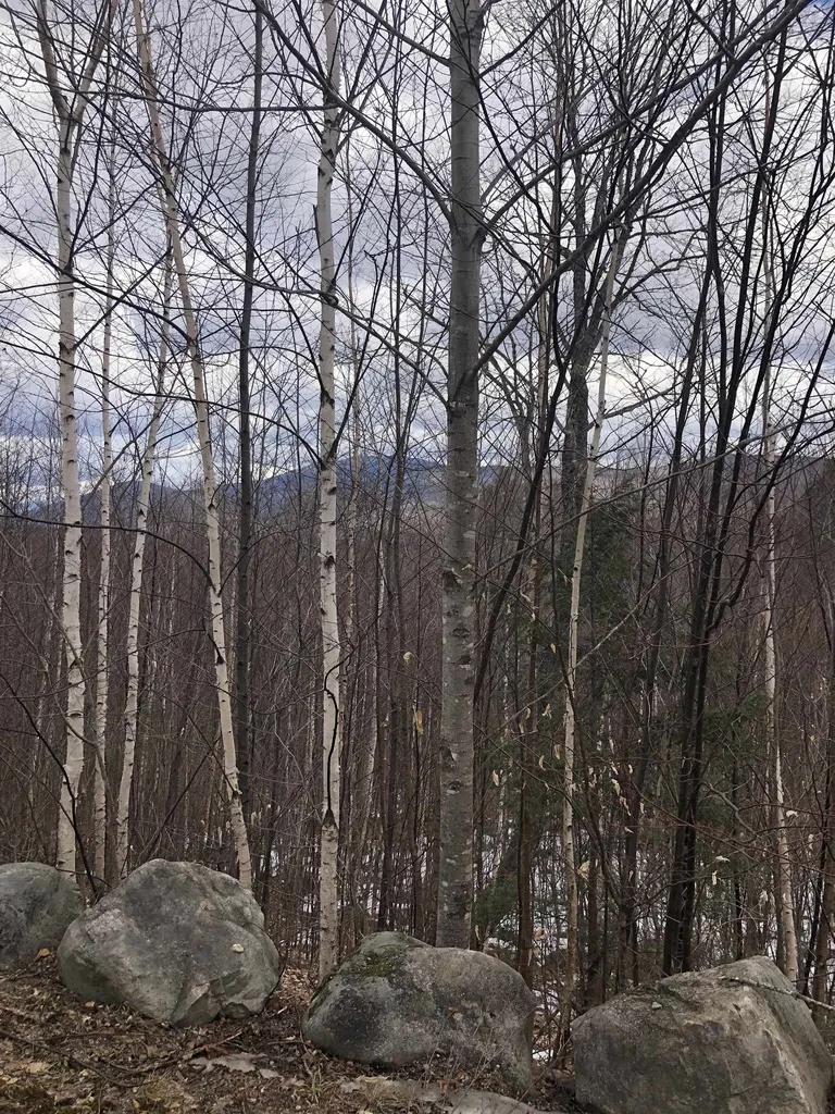 323 Cheever Road Wentworth NH 03282