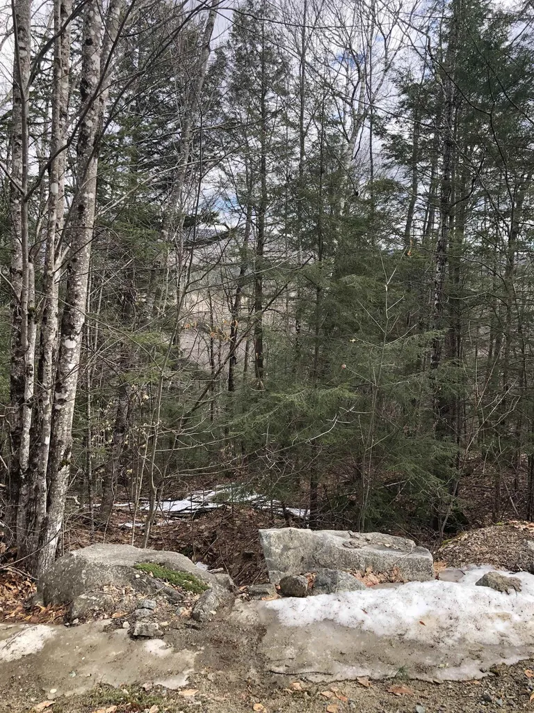 323 Cheever Road Wentworth NH 03282