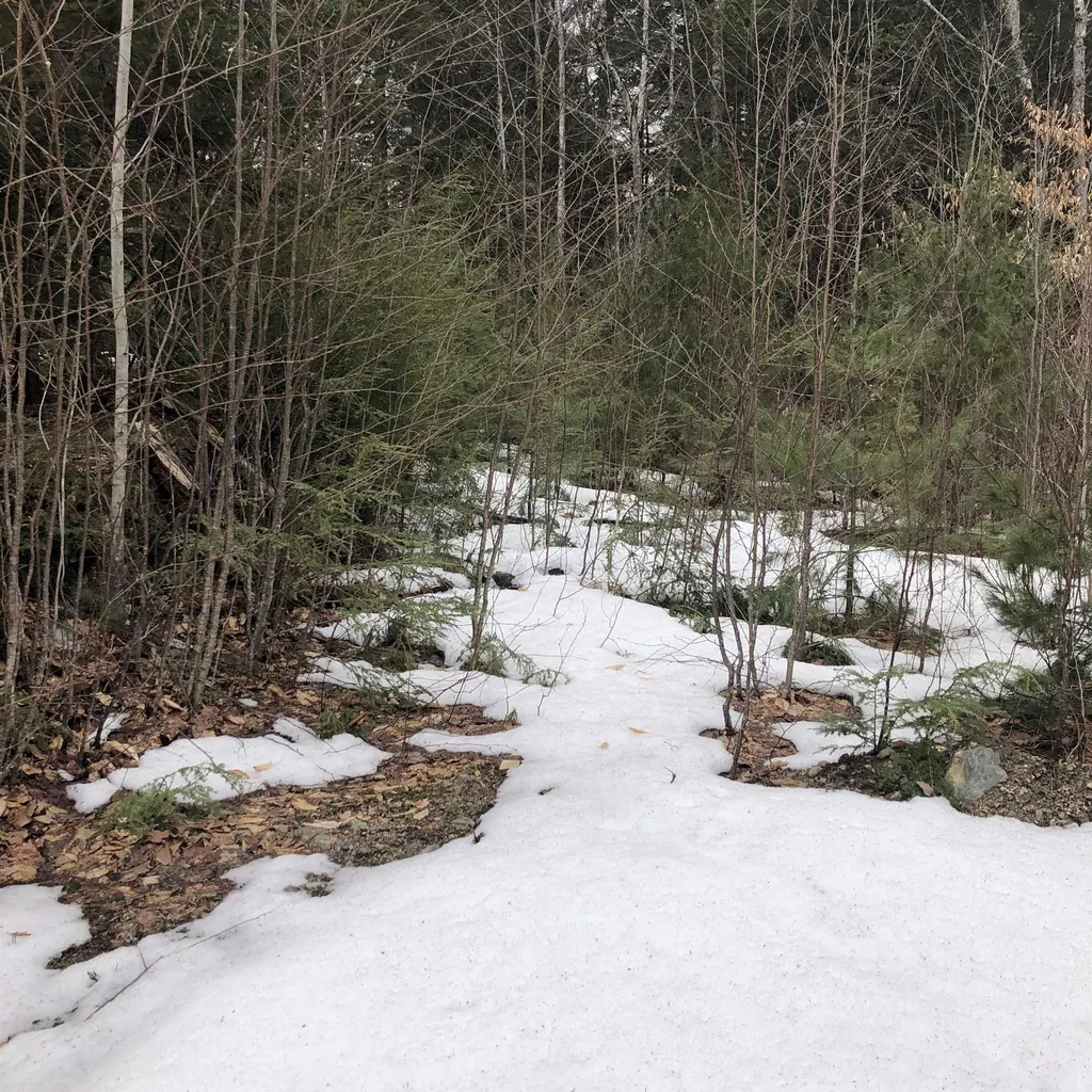 323 Cheever Road Wentworth NH 03282
