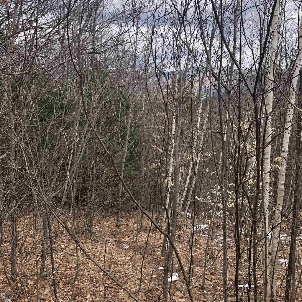 323 Cheever Road Wentworth NH 03282