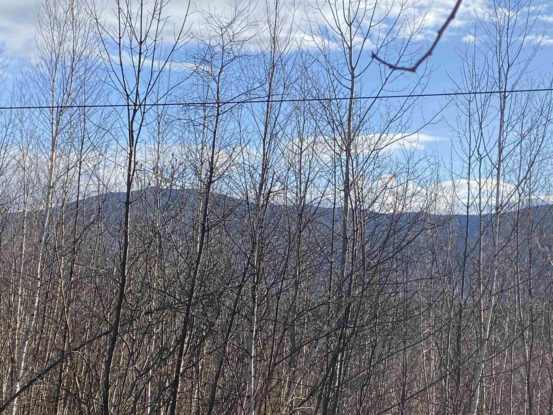 323 Cheever Road Wentworth NH 03282