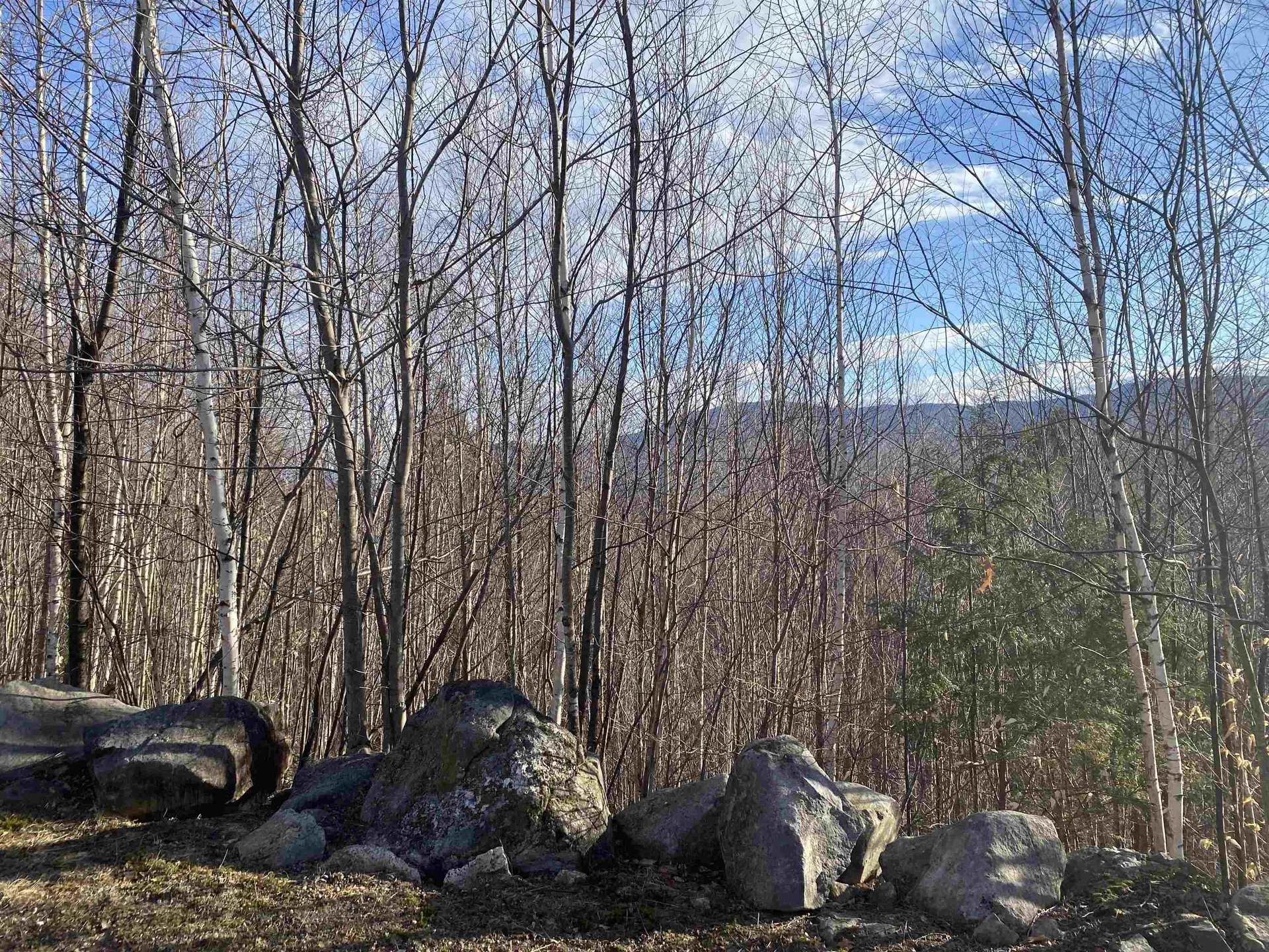 323 Cheever Road Wentworth NH 03282