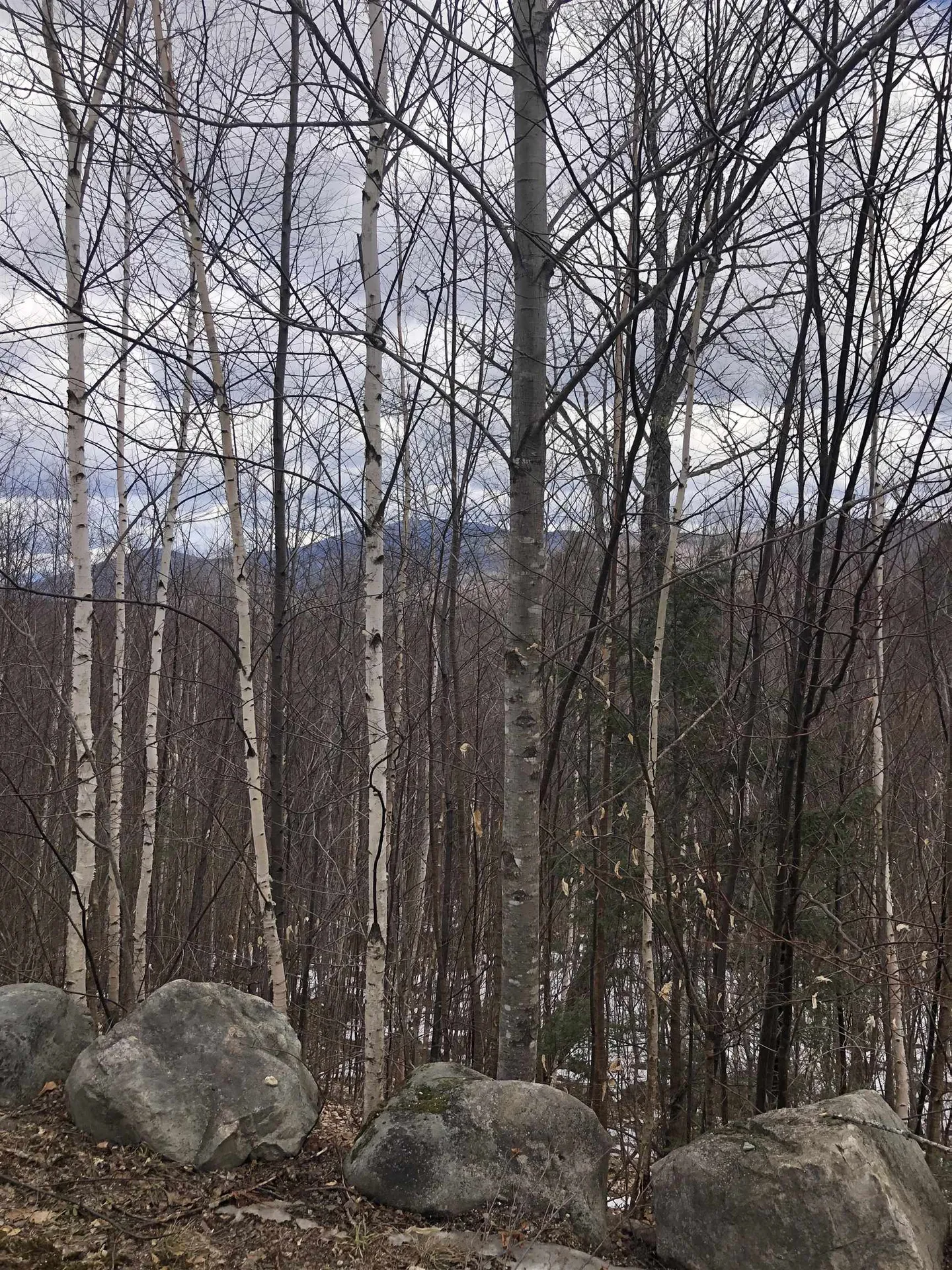 323 Cheever Road Wentworth NH 03282