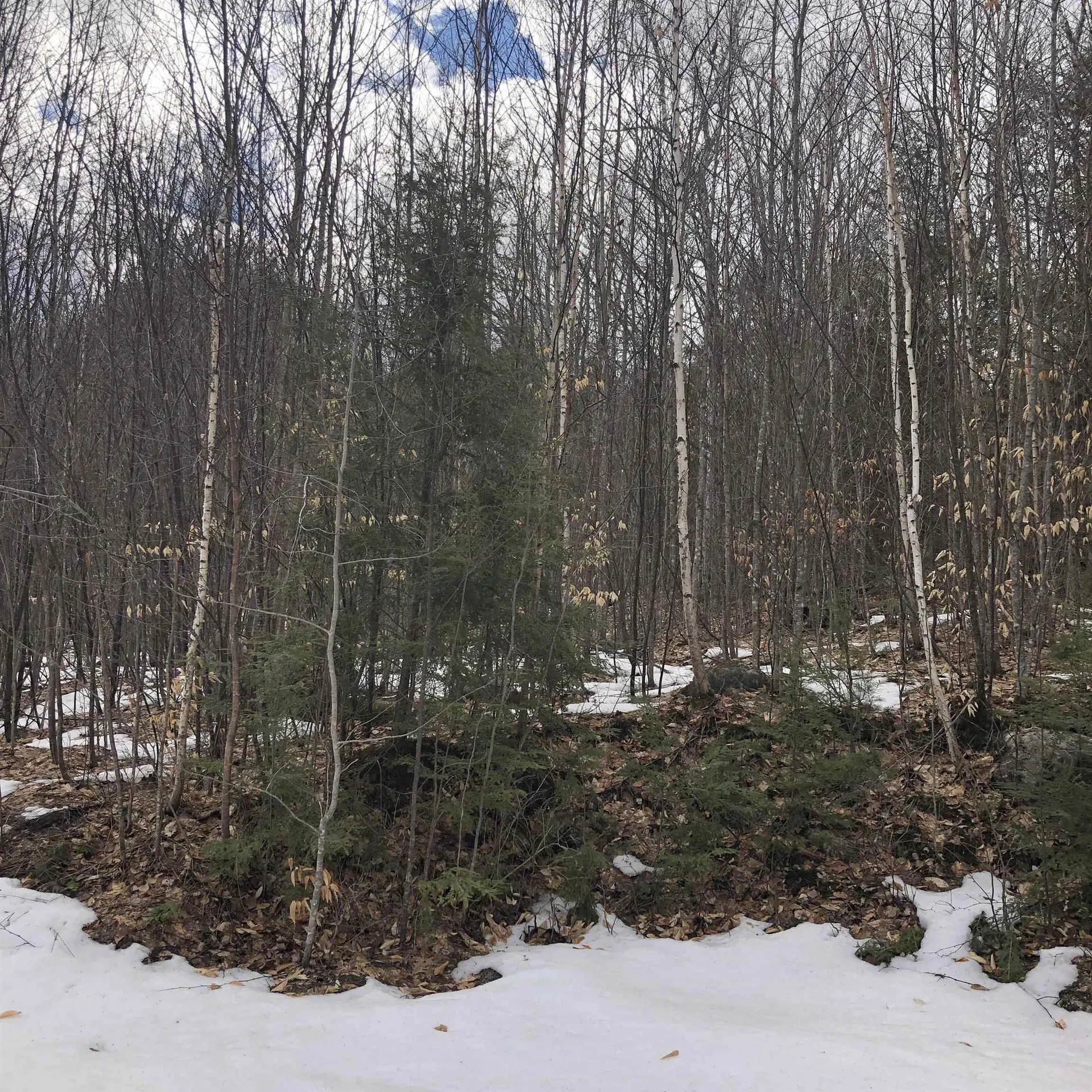 323 Cheever Road Wentworth NH 03282