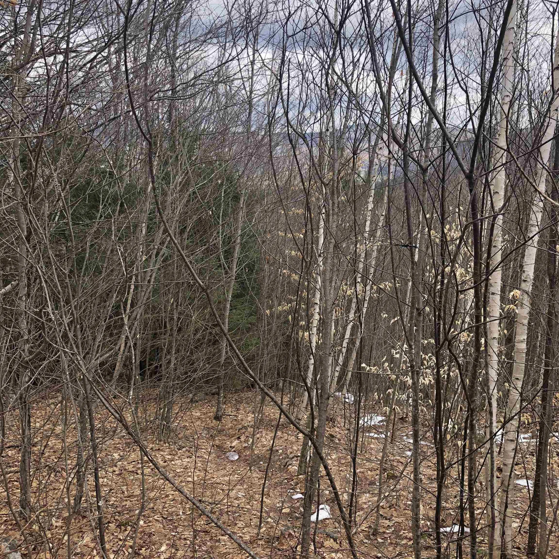 323 Cheever Road Wentworth NH 03282