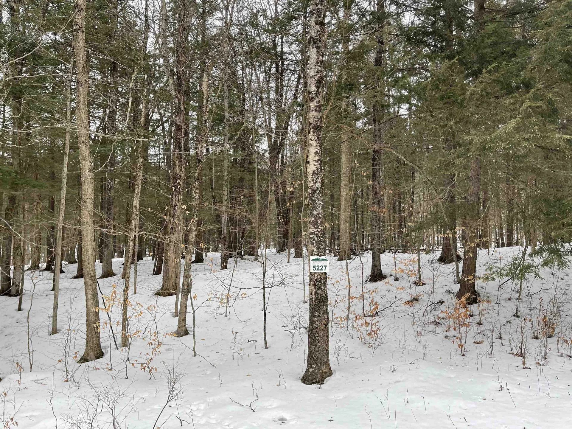0 Willard Road Hartford VT 05059