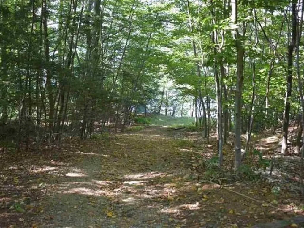Map 33, Lot 72 Bunnell Drive Strafford NH 03884