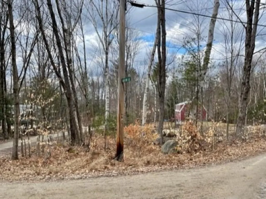 Map 33, Lot 72 Bunnell Drive Strafford NH 03884