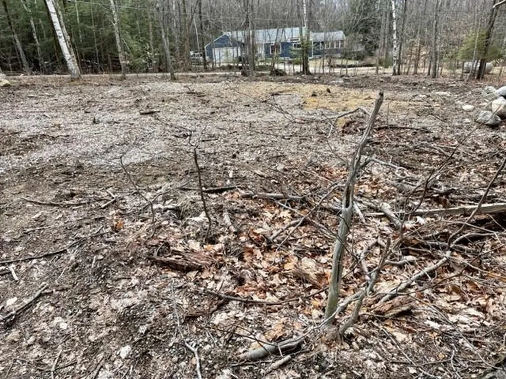 Map 33, Lot 72 Bunnell Drive Strafford NH 03884