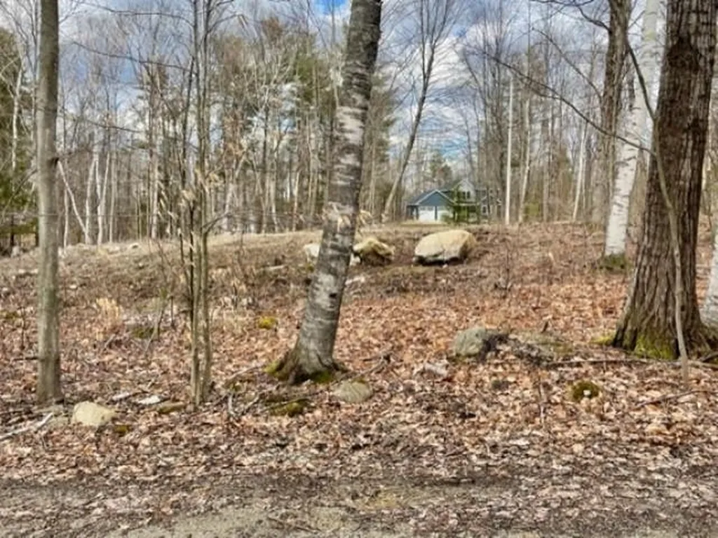 Map 33, Lot 72 Bunnell Drive Strafford NH 03884