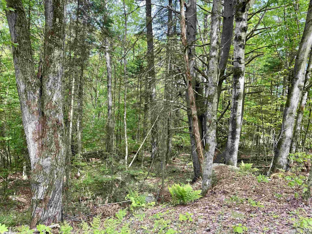 00 Overlook Lane Haverhill NH 03765