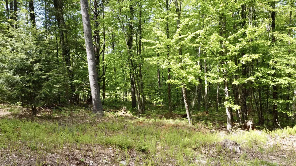 00 Overlook Lane Haverhill NH 03765