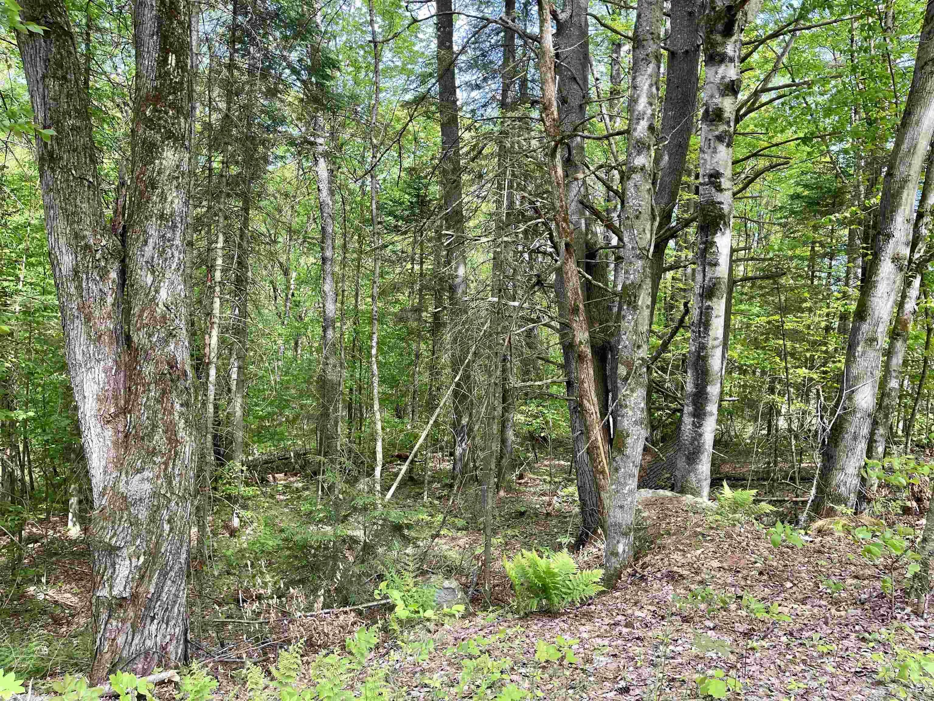 00 Overlook Lane Haverhill NH 03765
