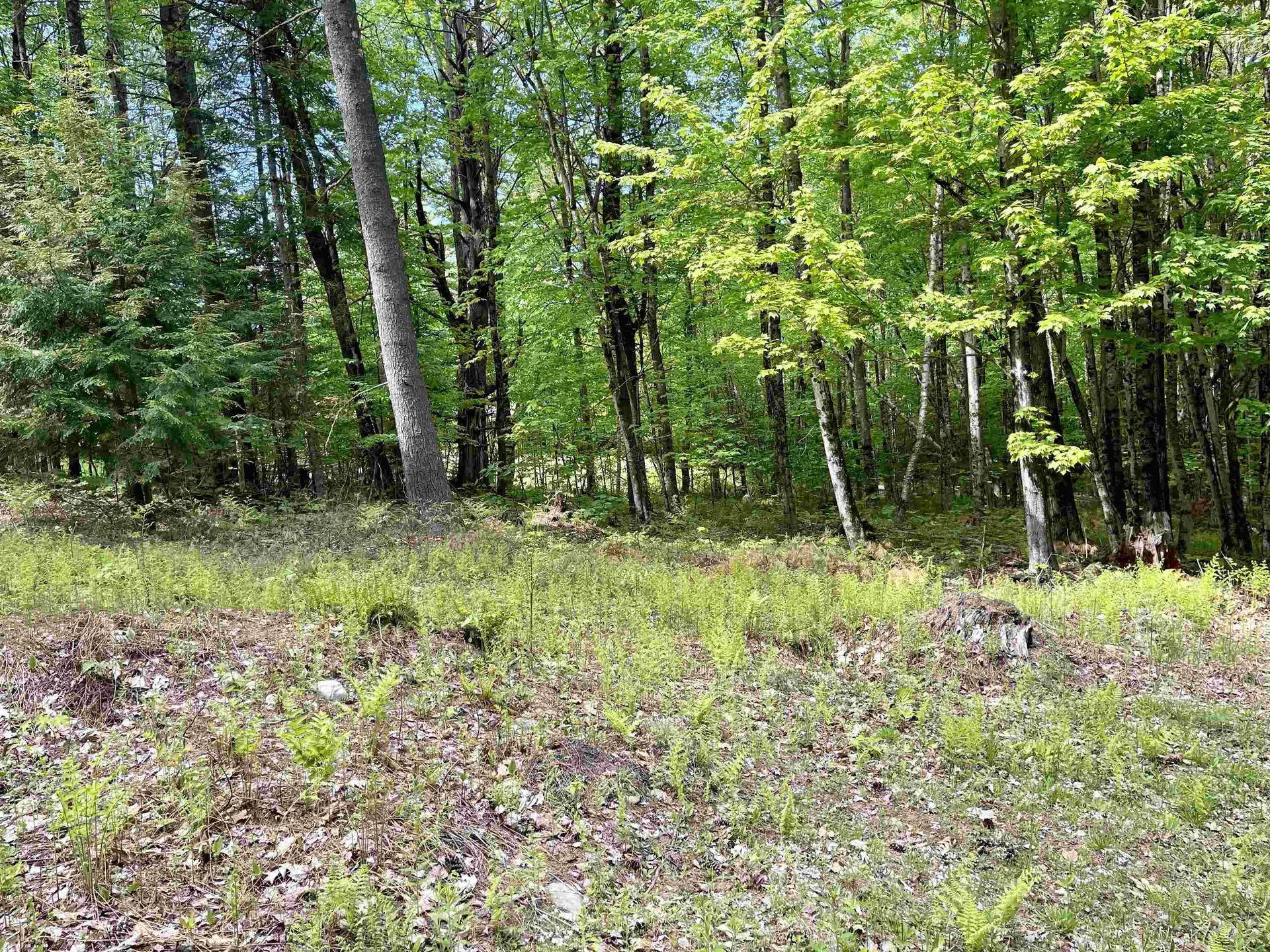 00 Overlook Lane Haverhill NH 03765