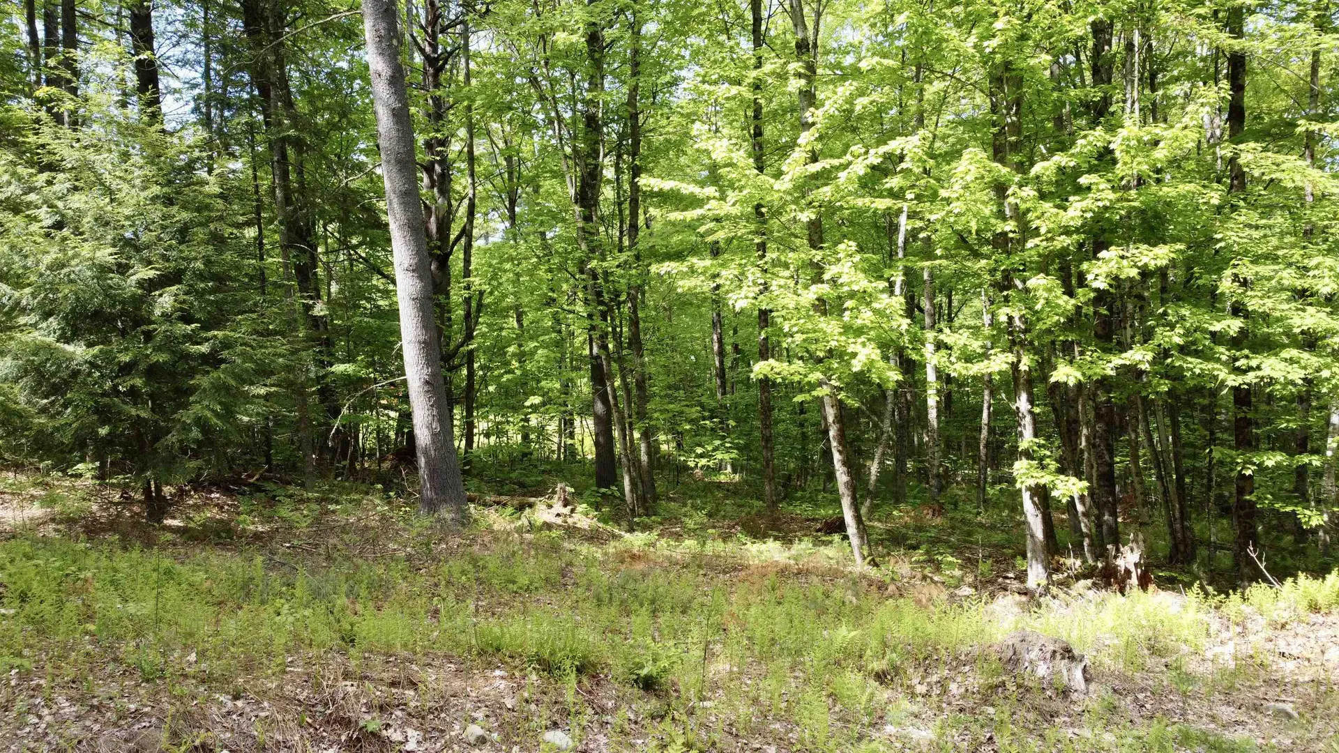 00 Overlook Lane Haverhill NH 03765