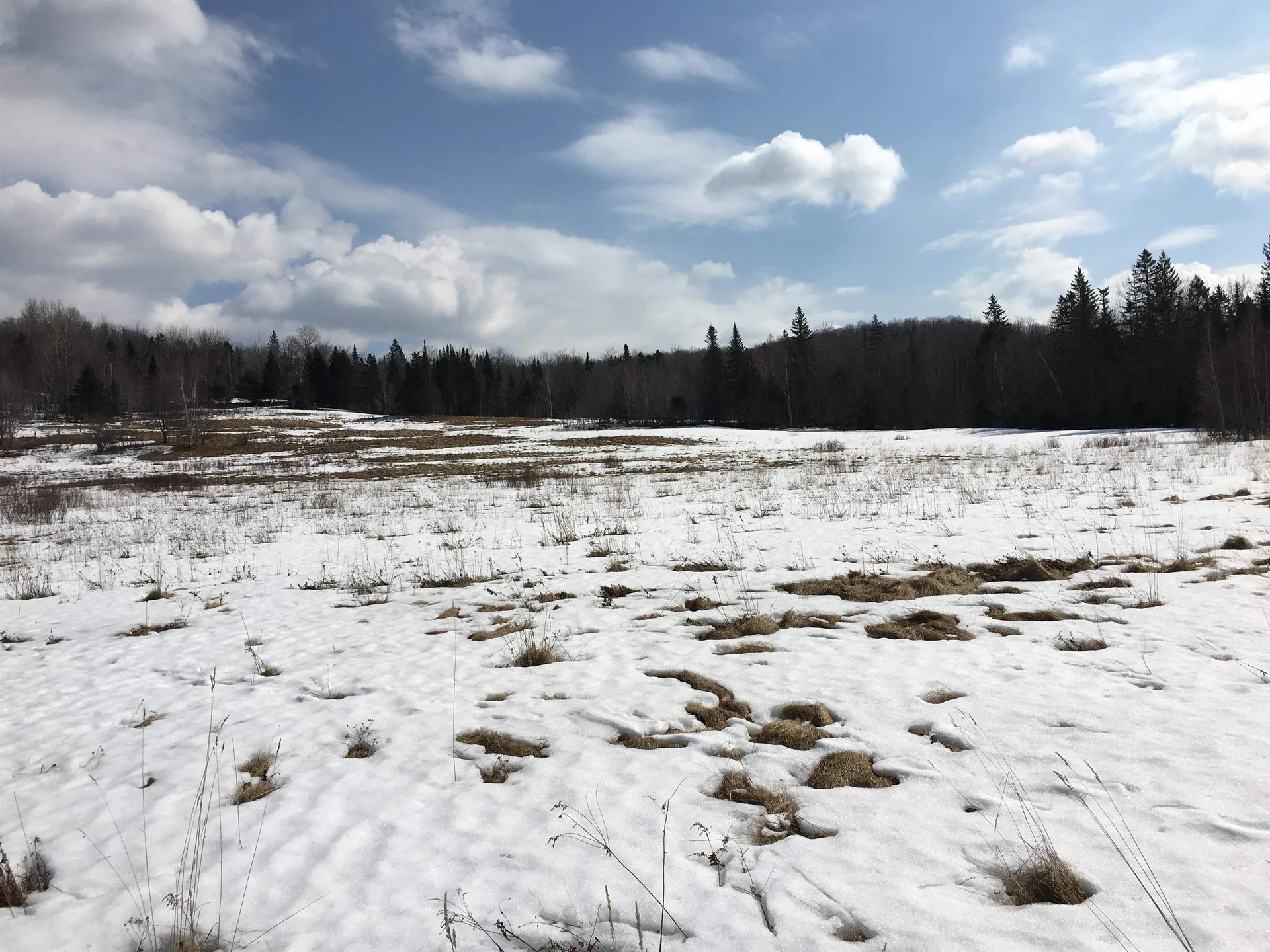 138 Us 302 Topsham VT 05068