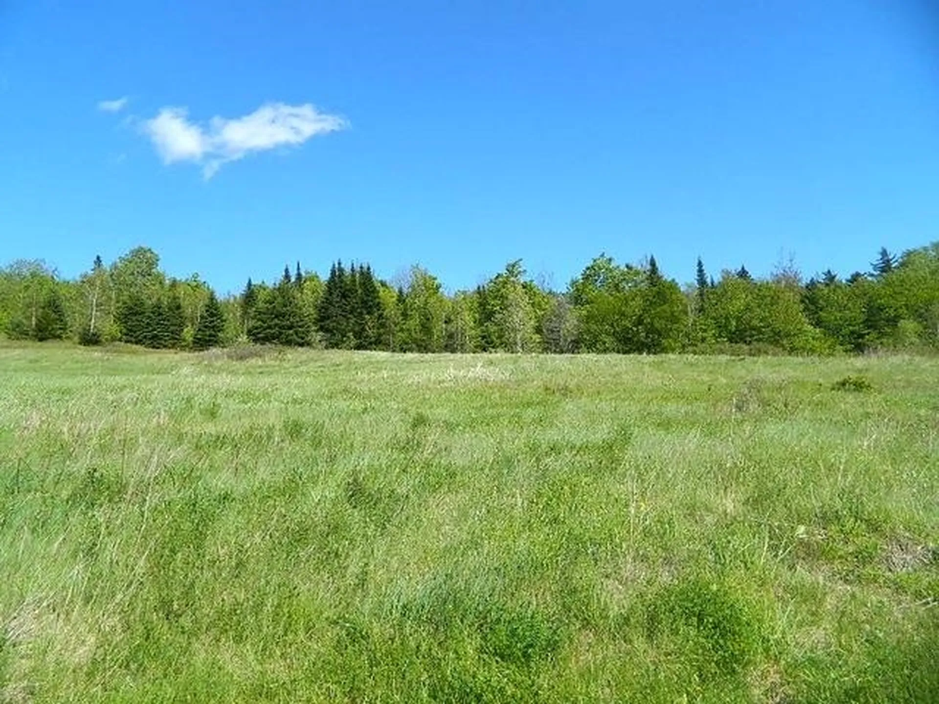 138 Us 302 Topsham VT 05068