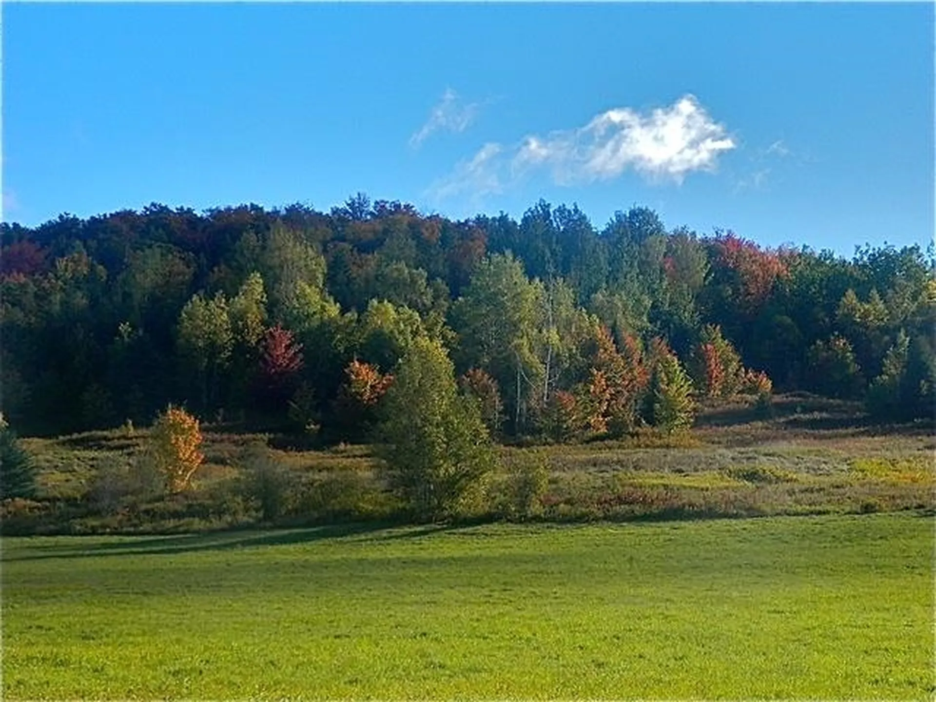 138 Us 302 Topsham VT 05068