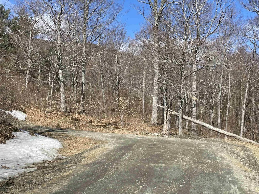 178 Colony Road Warren VT 05674
