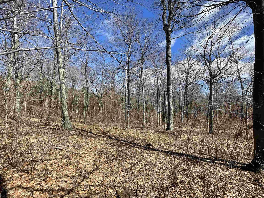 178 Colony Road Warren VT 05674