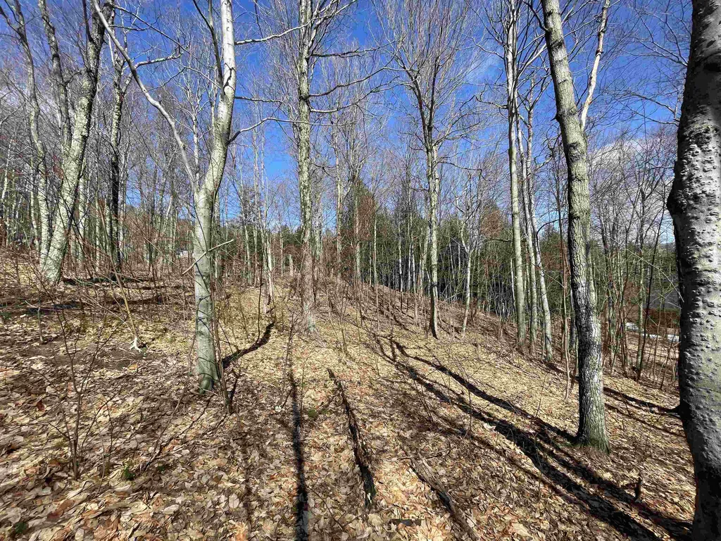 178 Colony Road Warren VT 05674