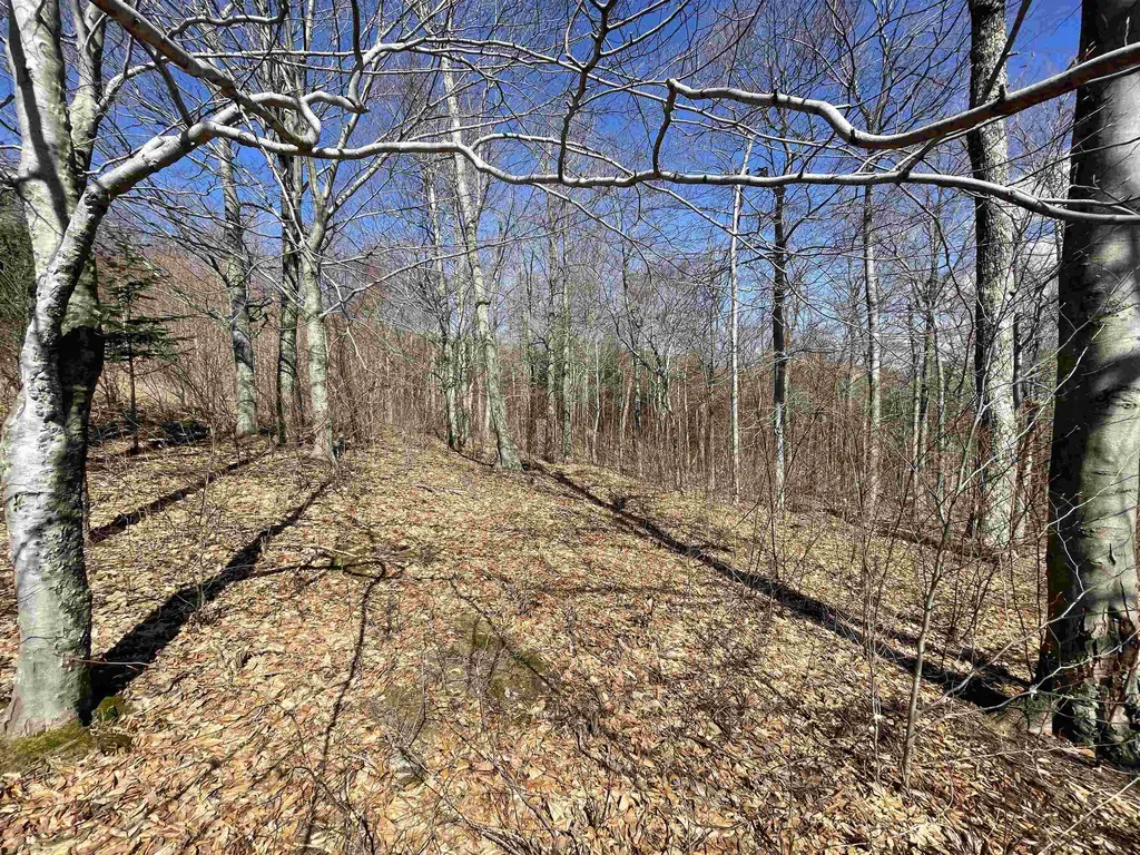 178 Colony Road Warren VT 05674